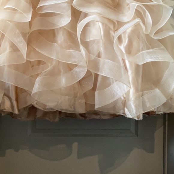 Bridal or Prom gown Unaltered - Picture 14 of 16